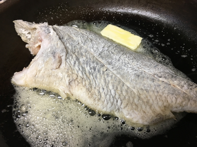 白身魚のムニエル・釣果メシ