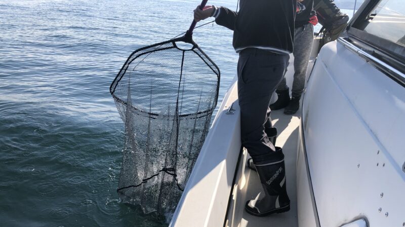 その他付帯・釣り具におすすめな保険サービス