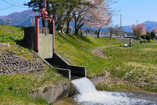 水温が上がる時期に魚が居着く場所