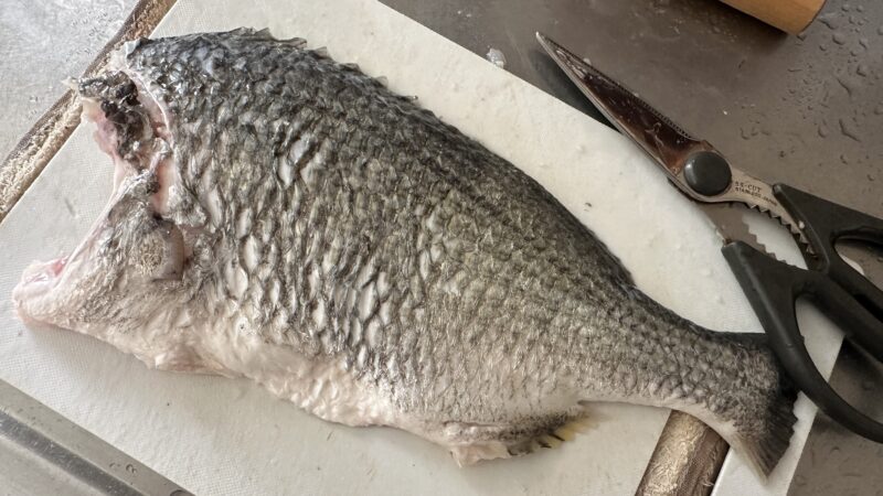 香草オイル焼きが合う魚